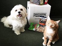 Рубрика «Дино дня!». Присоединяйтесь и вы к нам!