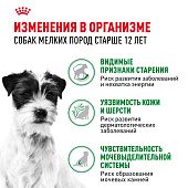 Паучи Royal Canin Mini Ageing 12+ для собак маленьких пород собак в возрасте сраше 12 лет