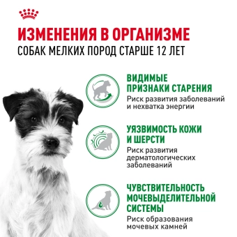 Паучи Royal Canin Mini Ageing 12+ для собак маленьких пород собак в возрасте сраше 12 лет