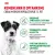Паучи Royal Canin Mini Ageing 12+ для собак маленьких пород собак в возрасте сраше 12 лет Паучи Royal Canin Mini Ageing 12+ для собак маленьких пород собак в возрасте сраше 12 лет