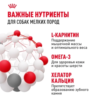 Корм для собак Royal Canin Mini Adult Корм сухой для взрослых собак мелких размеров от 10 месяцев
