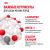 Корм для собак Royal Canin Mini Adult Корм сухой для взрослых собак мелких размеров от 10 месяцев