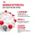 Корм для собак Royal Canin Mini Adult Корм сухой для взрослых собак мелких размеров от 10 месяцев