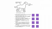 Сухой Корм AJO Dog Sense с гречкой для собак с чувствительным пищеварением Сухой Корм AJO Dog Sense с гречкой для собак с чувствительным пищеварением
