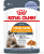 Royal Canin Hair & Skin Care корм консервированный для взрослых кошек в желе