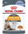 Royal Canin Hair & Skin Care корм консервированный для взрослых кошек в желе