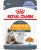 Royal Canin Hair & Skin Care корм консервированный для взрослых кошек в желе