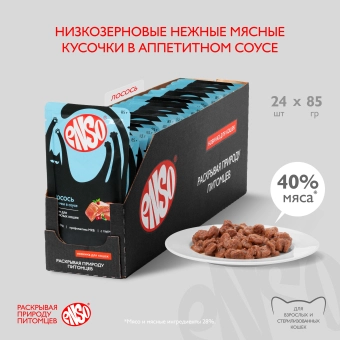 Паучи Enso Basic полнорационный корм для взрослых кошек кусочки в соусе с лососем