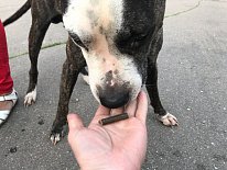 Дегустация в зоомагазине «Динозаврик» (Ул.Снежная, д.16к6)!