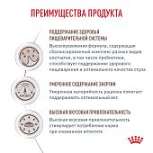 Паучи Royal Canin Gastrointestinal Moderate Calorie для кошек, склонных к набору веса при расстройствах пищеварения
