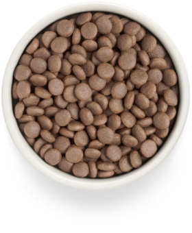 Корм Premier Dog Turkey Adult Medium для собак средних пород со свежим мясом индейки