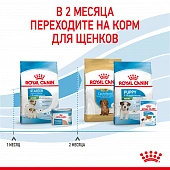 Royal Canin Mini Starter корм для щенков мелких размеров до 2-х месяцев, беременных и...