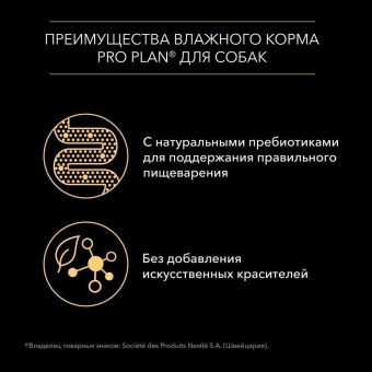 Влажный корм PRO PLAN для взрослых собак мелких и карликовых пород, с говядиной в соусе
