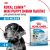Корм для собак Royal Canin Корм Mini Puppy сухой для щенков мелких размеров до 8 месяцев