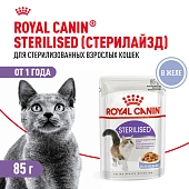 Корм консервированный Royal Canin Sterilised для взрослых кошек в желе Корм консервированный Royal Canin Sterilised для взрослых кошек в желе
