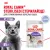 Корм консервированный Royal Canin Sterilised для взрослых кошек в желе Корм консервированный Royal Canin Sterilised для взрослых кошек в желе
