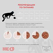 Банки Enso Basic полнорационный корм для взрослых кошек паштет с лососем и яблоком Банки Enso Basic полнорационный корм для взрослых кошек паштет с лососем и яблоком