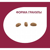 Сухой Корм Granplus Cat Sterilised для стерилизованных кошек с индейкой и рисом Сухой Корм Granplus Cat Sterilised для стерилизованных кошек с индейкой и рисом