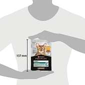 Влажный корм PRO PLAN® MAINTENANCE для взрослых кошек, кусочки с курицей в соусе Влажный корм PRO PLAN® MAINTENANCE для взрослых кошек, кусочки с курицей в соусе