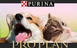 Скидка 15% на сухие корма для кошек и собак от Purina Pro Plan!