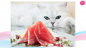Паучи Kinnodashi для кошек желтоперый тунец и японский тунец-бонито с семгой