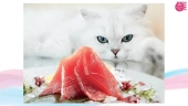 Паучи Inaba Kinnodashi для кошек с тунцом магуро и туннцом кацуо с куриным филе