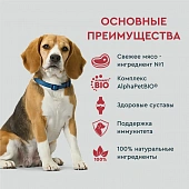 Сухой Корм Alphapet WOW для взрослых собак средних пород с говядиной и сердцем Сухой Корм Alphapet WOW для взрослых собак средних пород с говядиной и сердцем