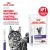 Паучи Royal Canin Neutered Maintenance для взрослых стерилизованных кошек Паучи Royal Canin Neutered Maintenance для взрослых стерилизованных кошек