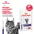 Паучи Royal Canin Neutered Maintenance для взрослых стерилизованных кошек