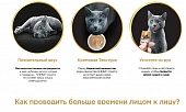 Крем-лакомство Sheba Creamy для кошек с говядиной Крем-лакомство Sheba Creamy для кошек с говядиной