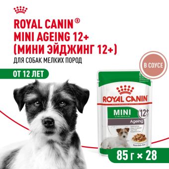 Паучи Royal Canin Mini Ageing 12+ для собак маленьких пород собак в возрасте сраше 12 лет