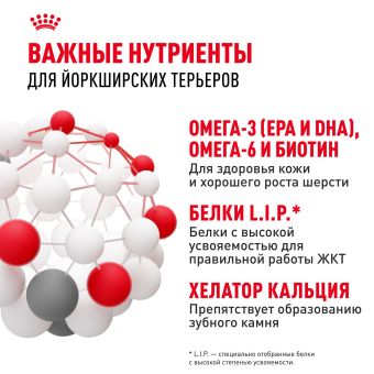Корм для котят Royal Canin Kitten Корм сухой сбалансированный период второй фазы роста