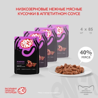 Паучи Enso Basic полнорационный корм для взрослых кошек кусочки в соусе с ягненком