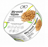Кормовые насекомые ONTO для кормления животных