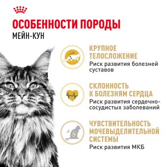 Корм для кошек Royal Canin Maine Coon Adult Корм сухой сбалансированный для взрослых кошек породы Мэйн Кун
