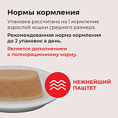 Ламитесры Inaba Ciao Twins Terrine паштет для кошек с тунцом магуро и куриным филе со вкусом ширасу