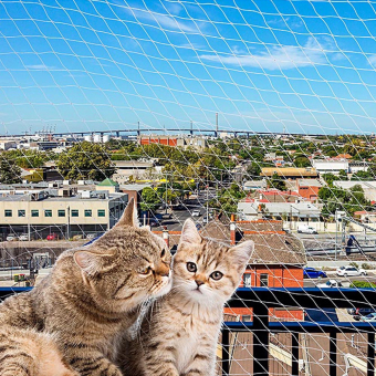 Защитная сетка Ferplast Cat Net на балкон