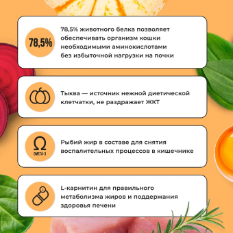 Корм Bowl Wow для кошек с чувствительным пищеварением полнорационный с индейкой и тыквой