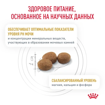 Royal Canin URINARY S/O (УРИНАРИ С/О) для кошек, способствующий растворению струвитных мочевых камней
