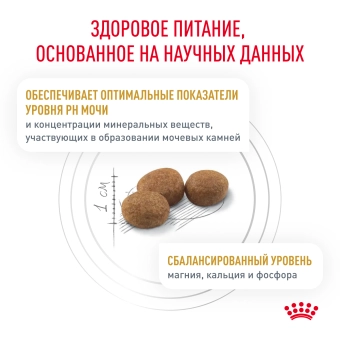 Royal Canin URINARY S/O (УРИНАРИ С/О) для кошек, способствующий растворению струвитных мочевых камней