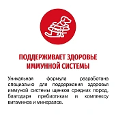 Сухой Корм Karmy Medium Junior для щенков средних пород с телятиной Сухой Корм Karmy Medium Junior для щенков средних пород с телятиной