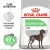 Royal Canin Maxi Digestive Care корм сухой для взрослых собак средних размеров с чувствительным пищеварением Royal Canin Maxi Digestive Care корм сухой для взрослых собак средних размеров с чувствительным пищеварением