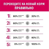 Сухой Корм Karmy Adult для взрослых кошек старше 1 года с курицей Сухой Корм Karmy Adult для взрослых кошек старше 1 года с курицей