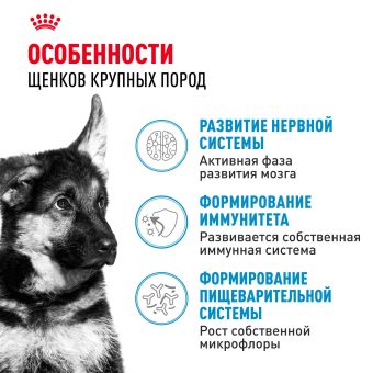 Корм для собак Royal Canin Maxi Puppy Корм сухой для щенков крупных размеров до 15 месяцев