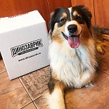 Рубрика «Дино дня!». Присоединяйтесь и вы к нам!