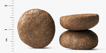 Корм Karmy Adult Dog Maxi для взрослых собак крупных пород с индейкой