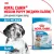Корм для собак Royal Canin Medium Puppy Корм сухой для щенков средних размеров до 12 месяцев Корм для собак Royal Canin Medium Puppy Корм сухой для щенков средних размеров до 12 месяцев