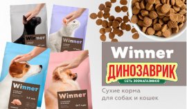 Корма и лакомства Winner в зоомагазинах Динозаврик