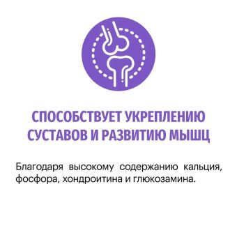 Корм Karmy Starter для щенков всех пород с момента отъема от матери и до 4-х недель с индейкой