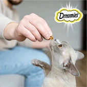 Лакомство Dreamies для кошек с сыром